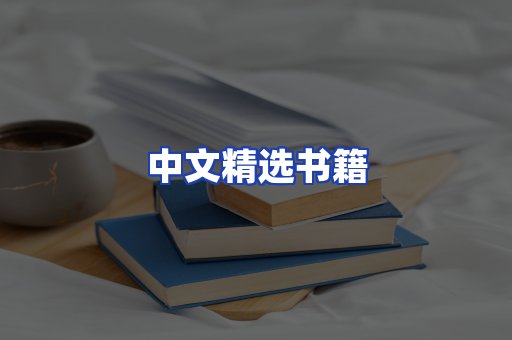 中文精选书籍